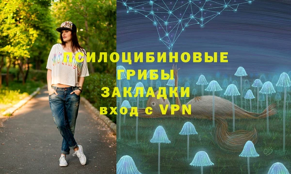 МДПВ Арсеньев