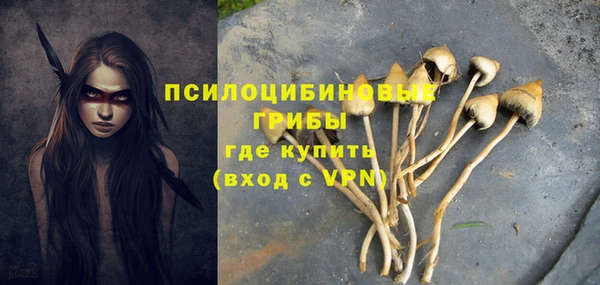 твердый Армянск