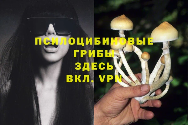 твердый Армянск